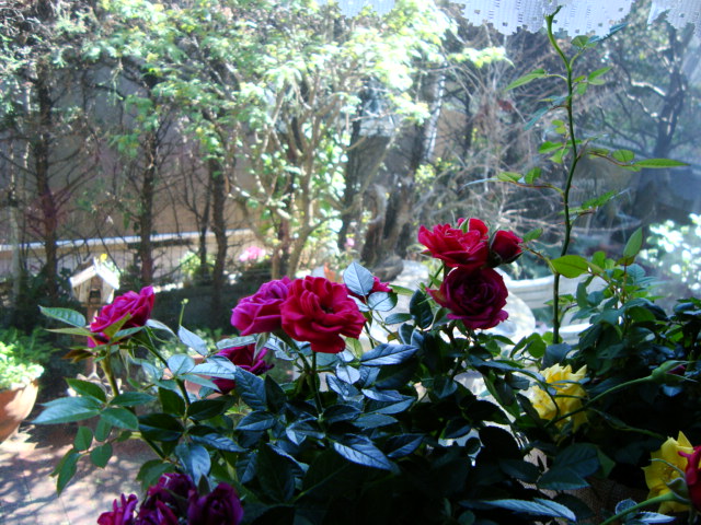f0137694_155712.jpg