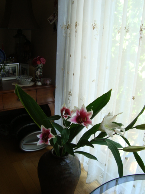f0137694_17972.jpg