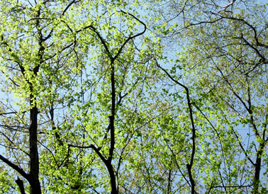 d0129295_14481188.jpg