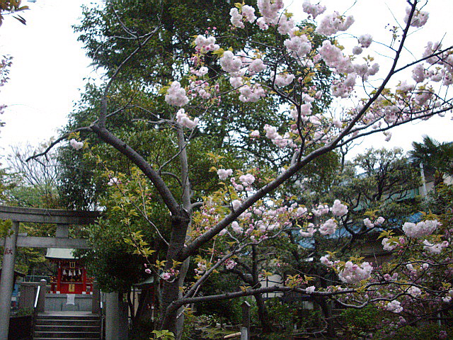 c0138198_15114398.jpg