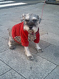 c0138198_1548634.jpg
