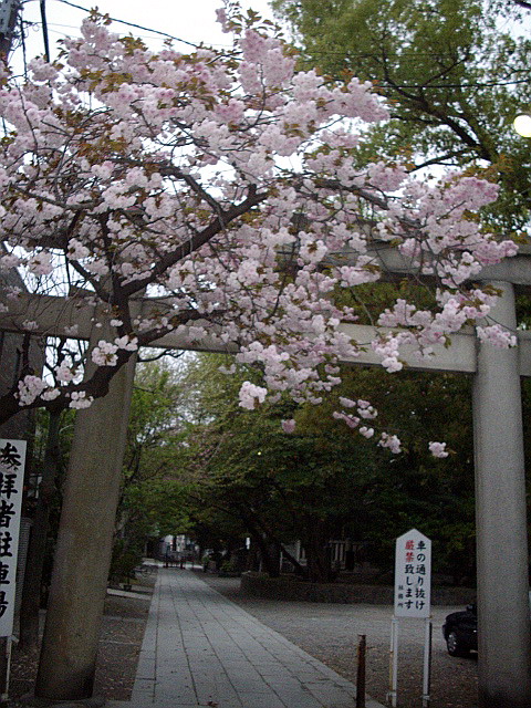 c0138198_1563025.jpg