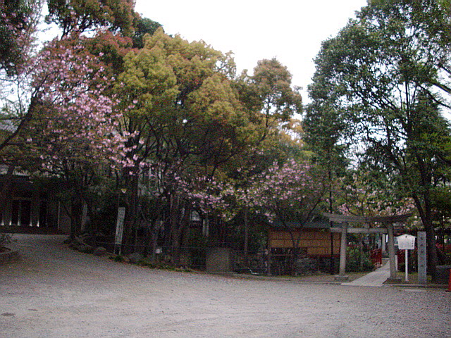 c0138198_1582031.jpg