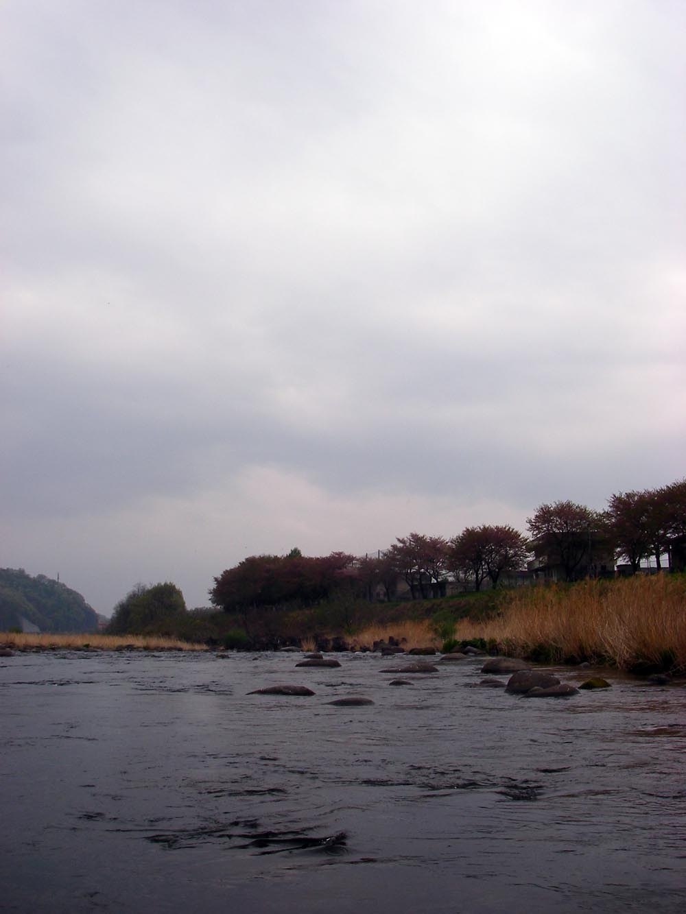 c0095801_21141328.jpg