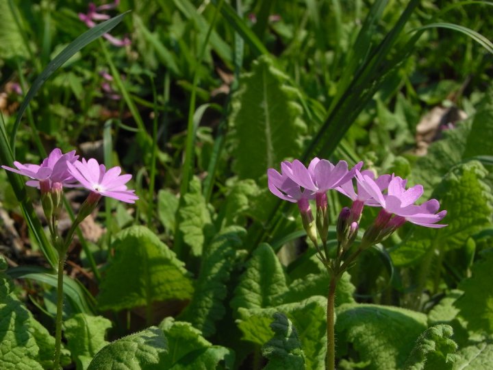 f0187402_2304859.jpg
