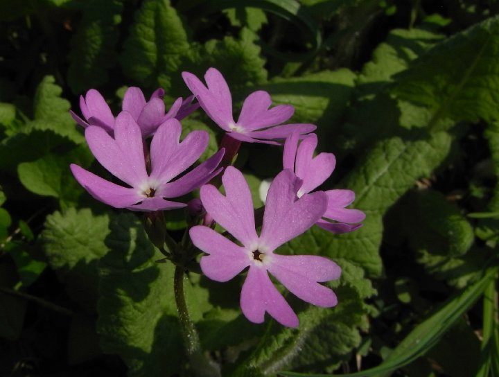 f0187402_2313649.jpg