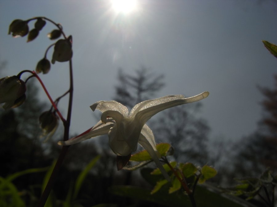 f0187402_2315085.jpg