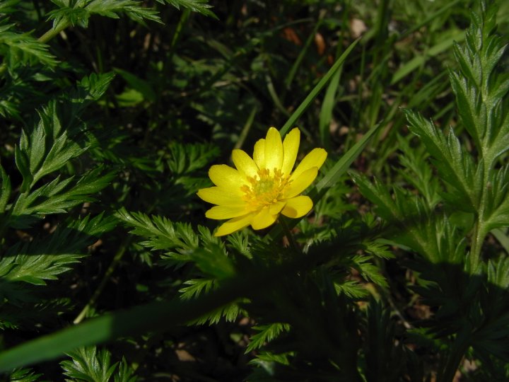 f0187402_231814.jpg
