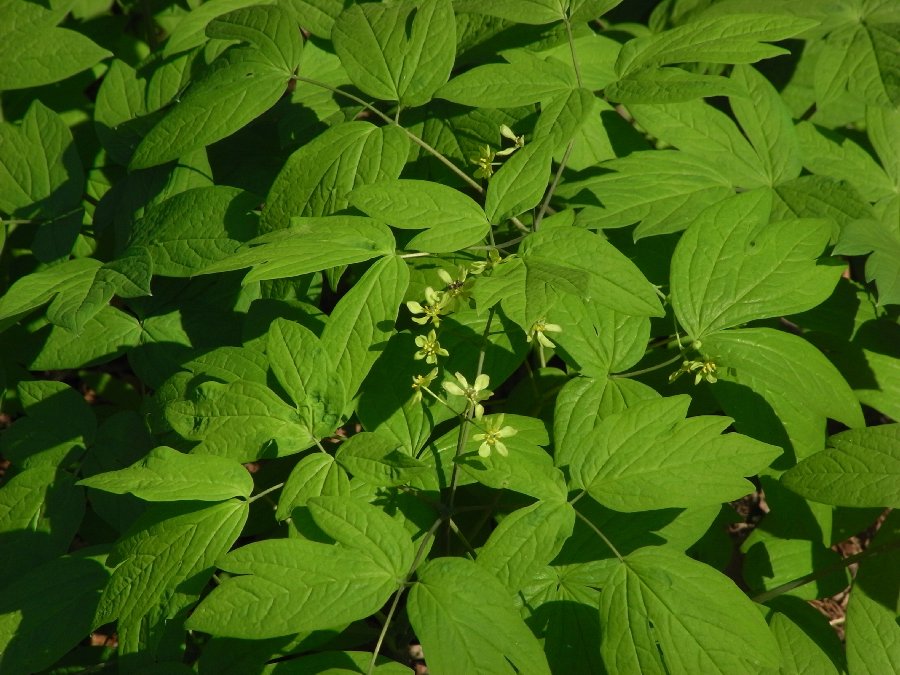 f0187402_2321342.jpg