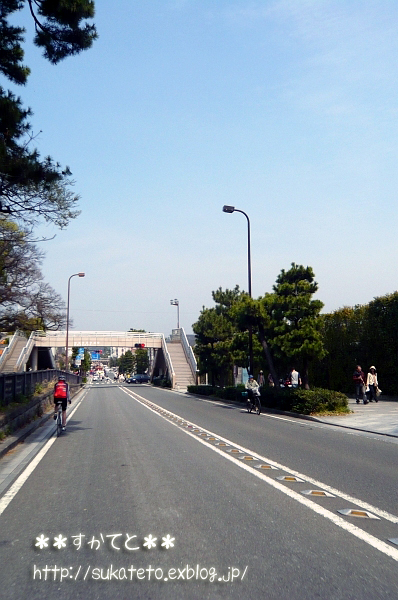 e0022303_2249343.jpg