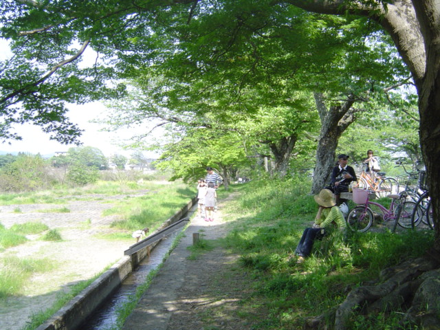c0006904_16334737.jpg