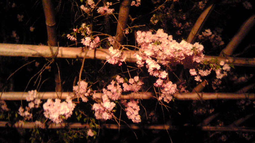 f0173605_19551941.jpg