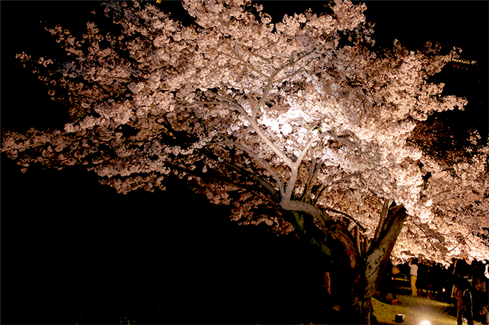 f0014815_13215685.jpg