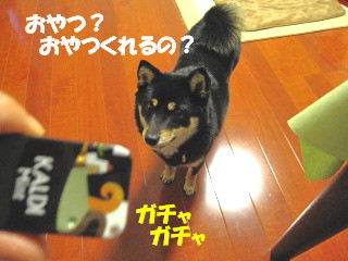 c0185516_21571855.jpg