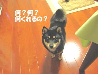 c0185516_2157592.jpg