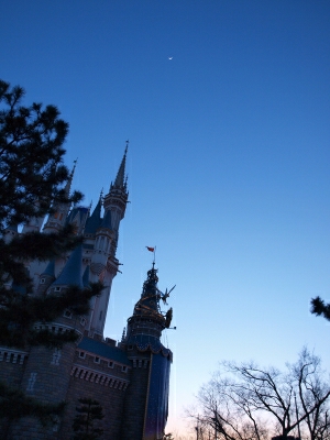 d0114517_8162235.jpg