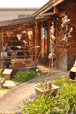 b0075318_1443624.jpg