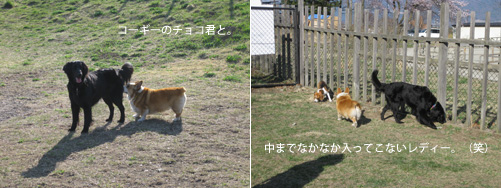 c0012120_13335.jpg
