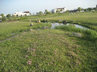 f0139520_23245599.jpg