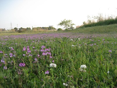 f0139520_23253179.jpg