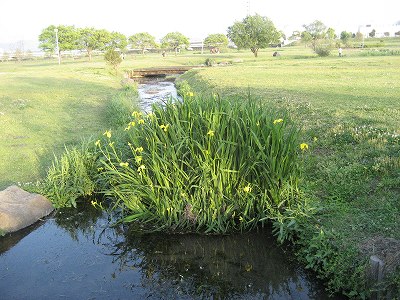 f0139520_232717.jpg