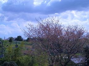 b0132522_21403082.jpg