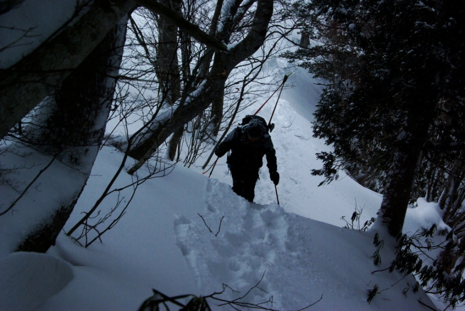 b0062024_20322424.jpg