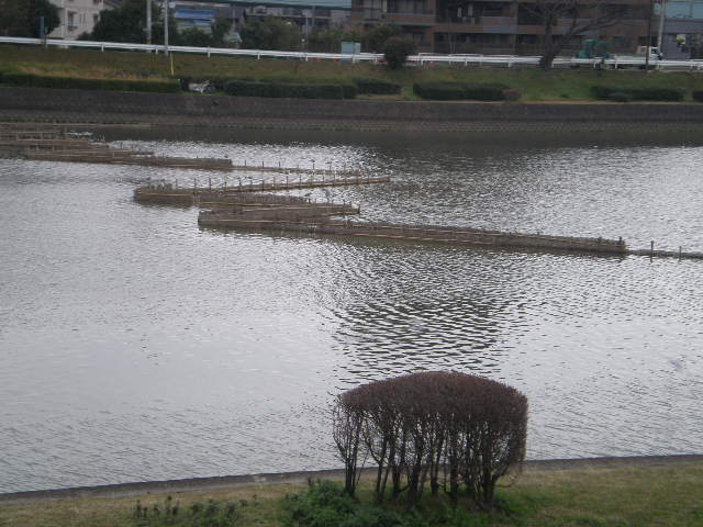 c0095424_1442452.jpg