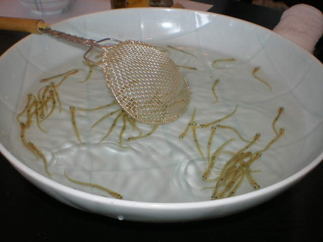 c0095424_1444126.jpg