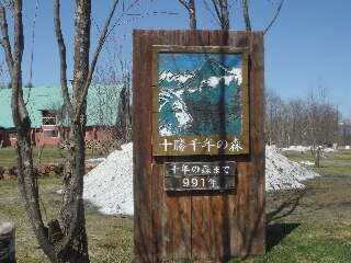 f0181524_2246880.jpg
