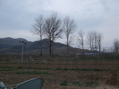f0139029_10251679.jpg
