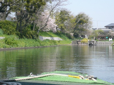 d0033333_11203938.jpg