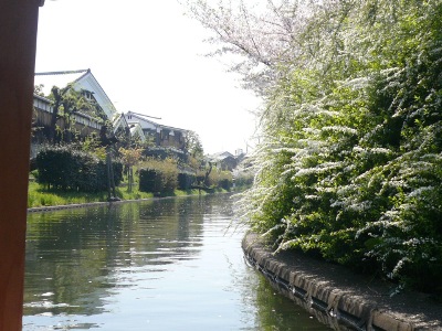 d0033333_11205936.jpg