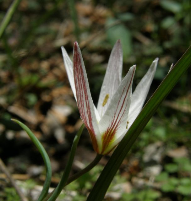 e0145033_17214664.jpg