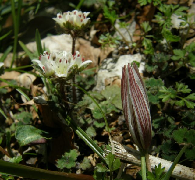 e0145033_17215093.jpg