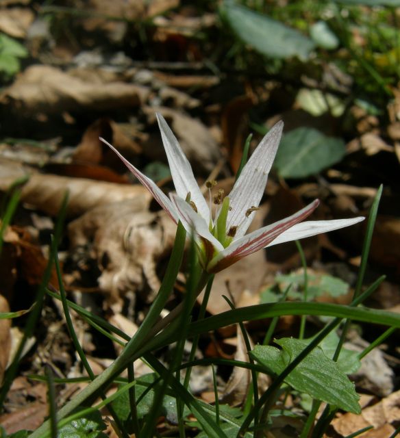 e0145033_1723461.jpg