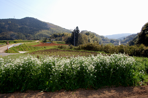b0013735_20371672.jpg