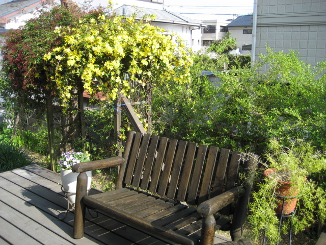 b0166435_20363588.jpg