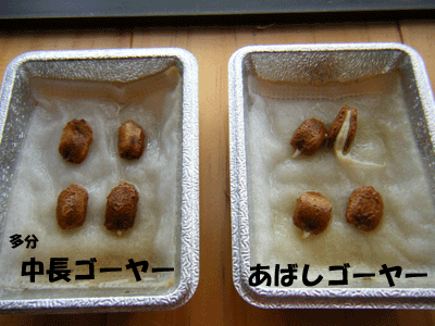 f0008935_12132928.gif