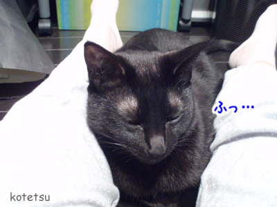 c0132438_22332143.jpg