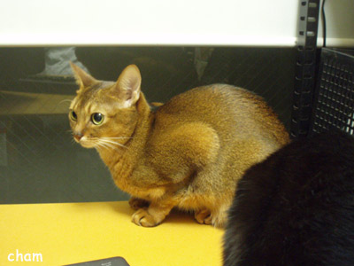 c0132438_22515862.jpg