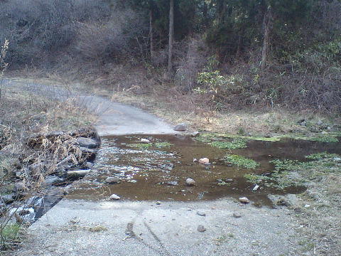b0124139_22555964.jpg