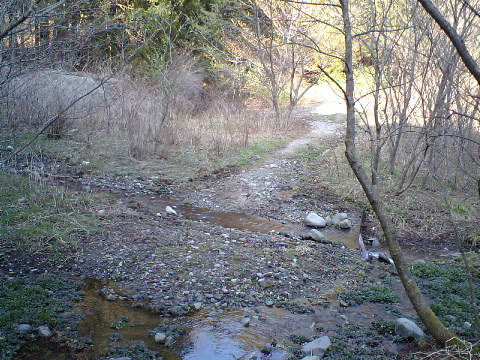 b0124139_2257323.jpg