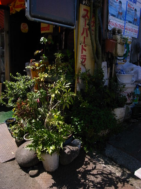 a0087341_861087.jpg