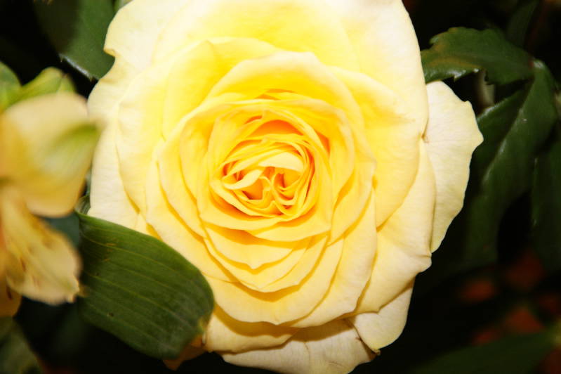 e0111346_7401075.jpg