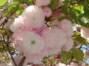 e0045847_234721.jpg