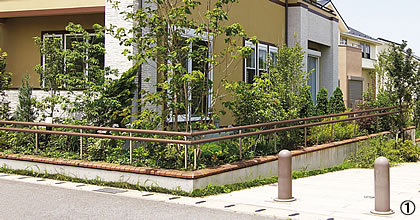 e0150849_010215.jpg