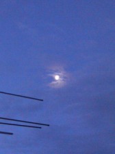 e0065350_2354555.jpg