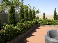 c0192852_14415766.jpg