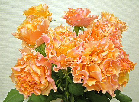 a0001354_21502582.jpg